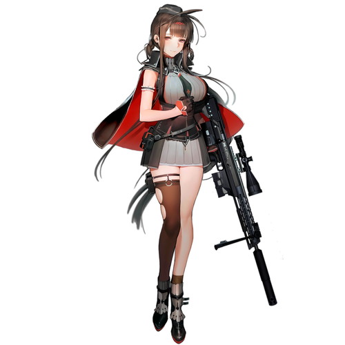 Gd DSR-50 - ドールズフロントライン(ドルフロ)【少女前線】 Wiki*